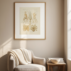Gamochonia “Trichterkraken” by Ernst Haeckel – Scientific Marine Life Art Print  Description: