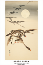 Eight White-Fronted Geese in Flight – Ohara Koson Poster | Japanese Nature Art Print - Hakyarts
