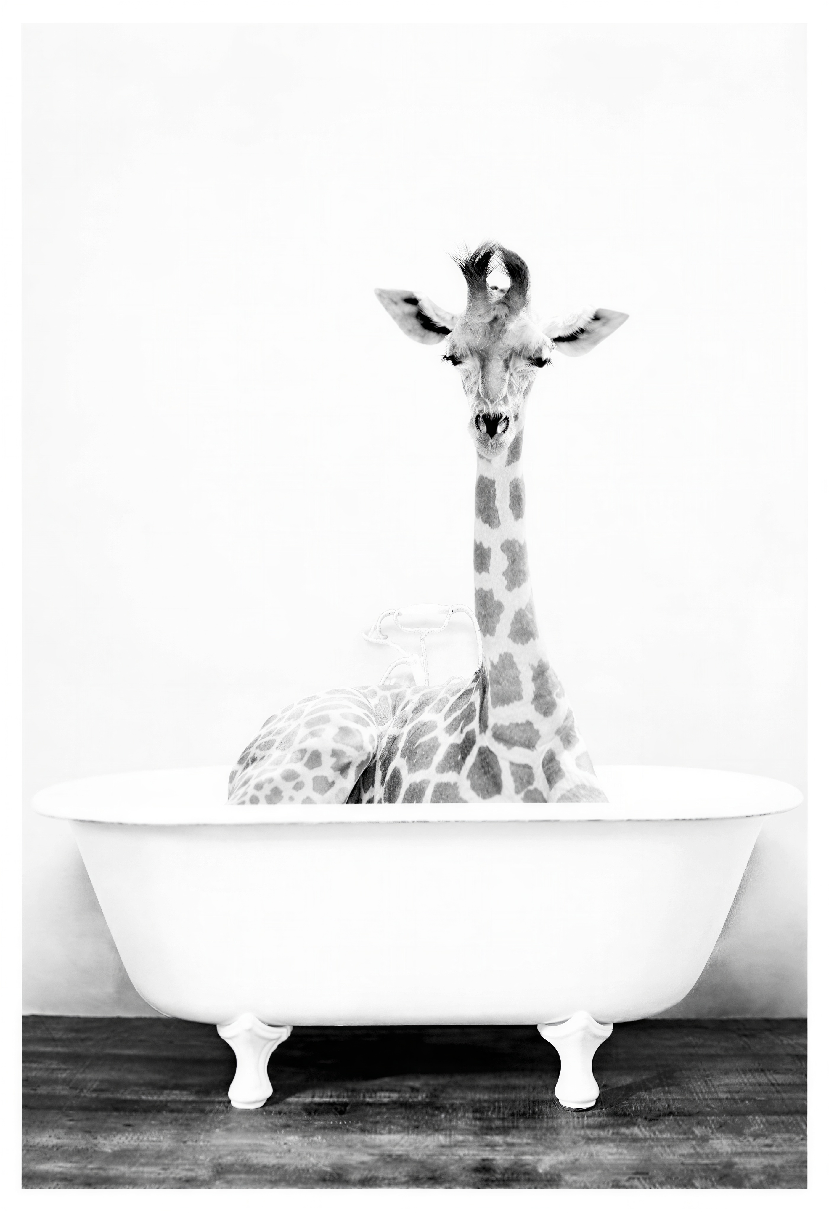 Affiche de girafe dans une baignoire