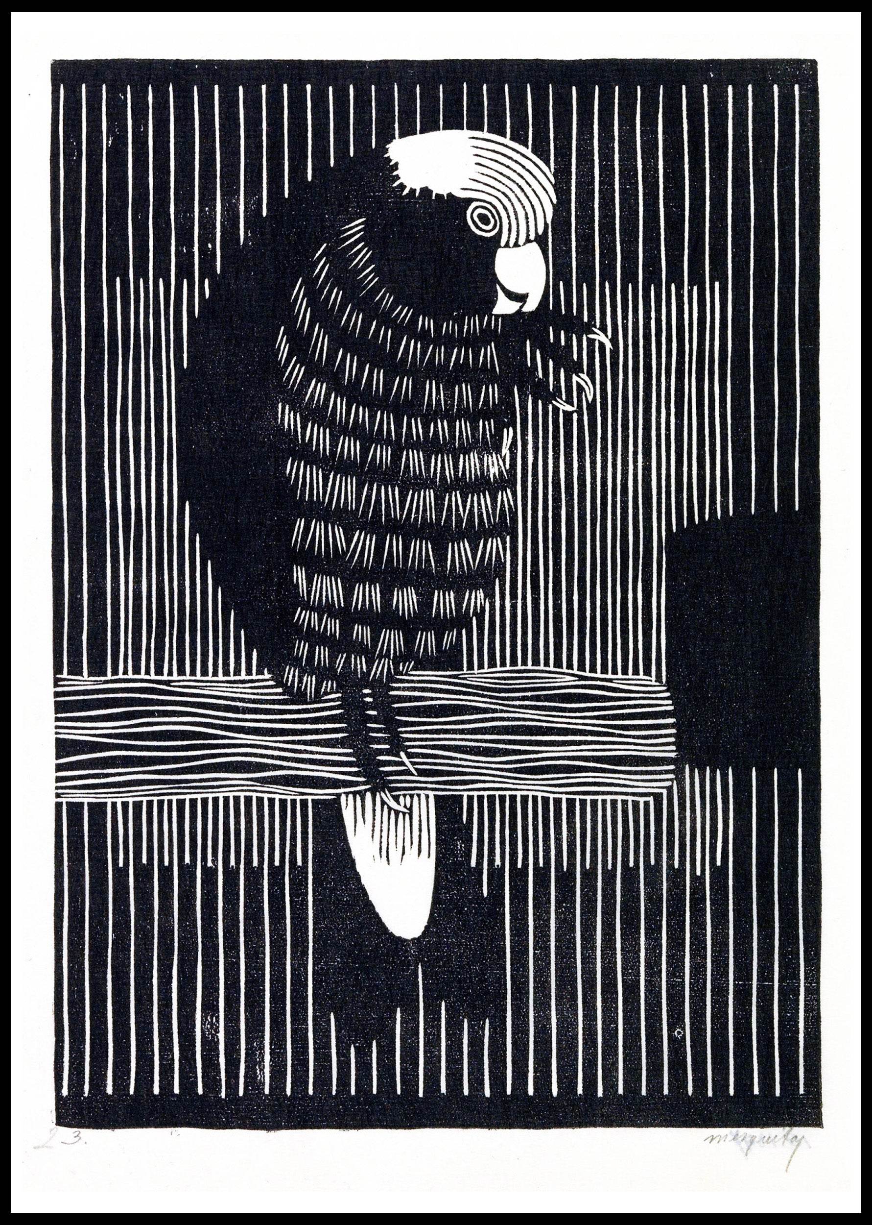 Rosékaketoe Poster - Hakyarts