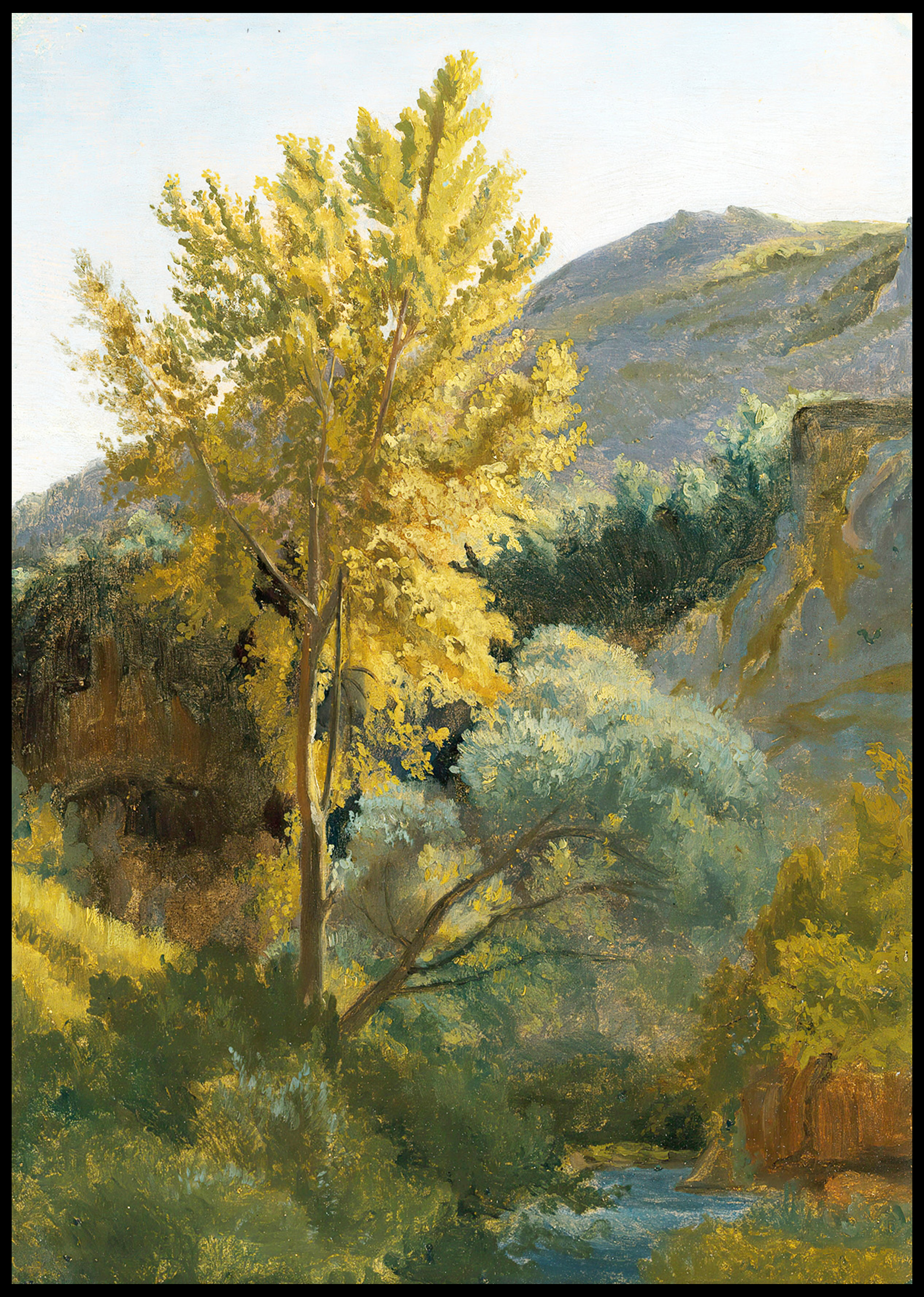 Jean‑Baptiste‑Camille Corot – Study of a Tree Near a Torrent in Italy
