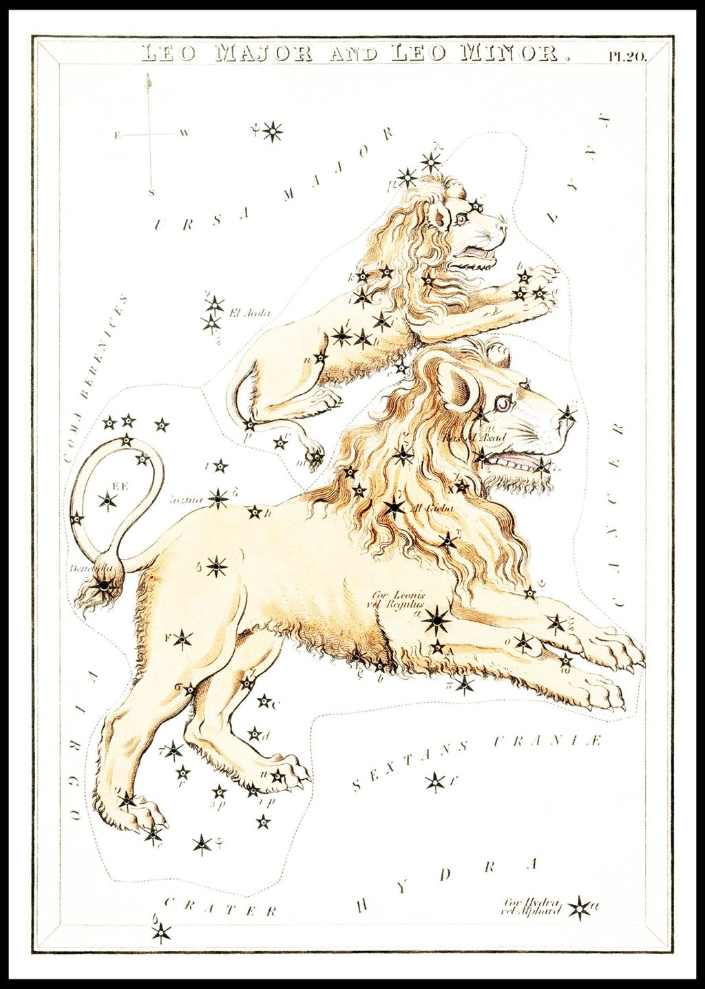 Leo Major and Leo Minor - Hakyarts