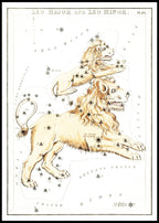 Leo Major and Leo Minor - Hakyarts