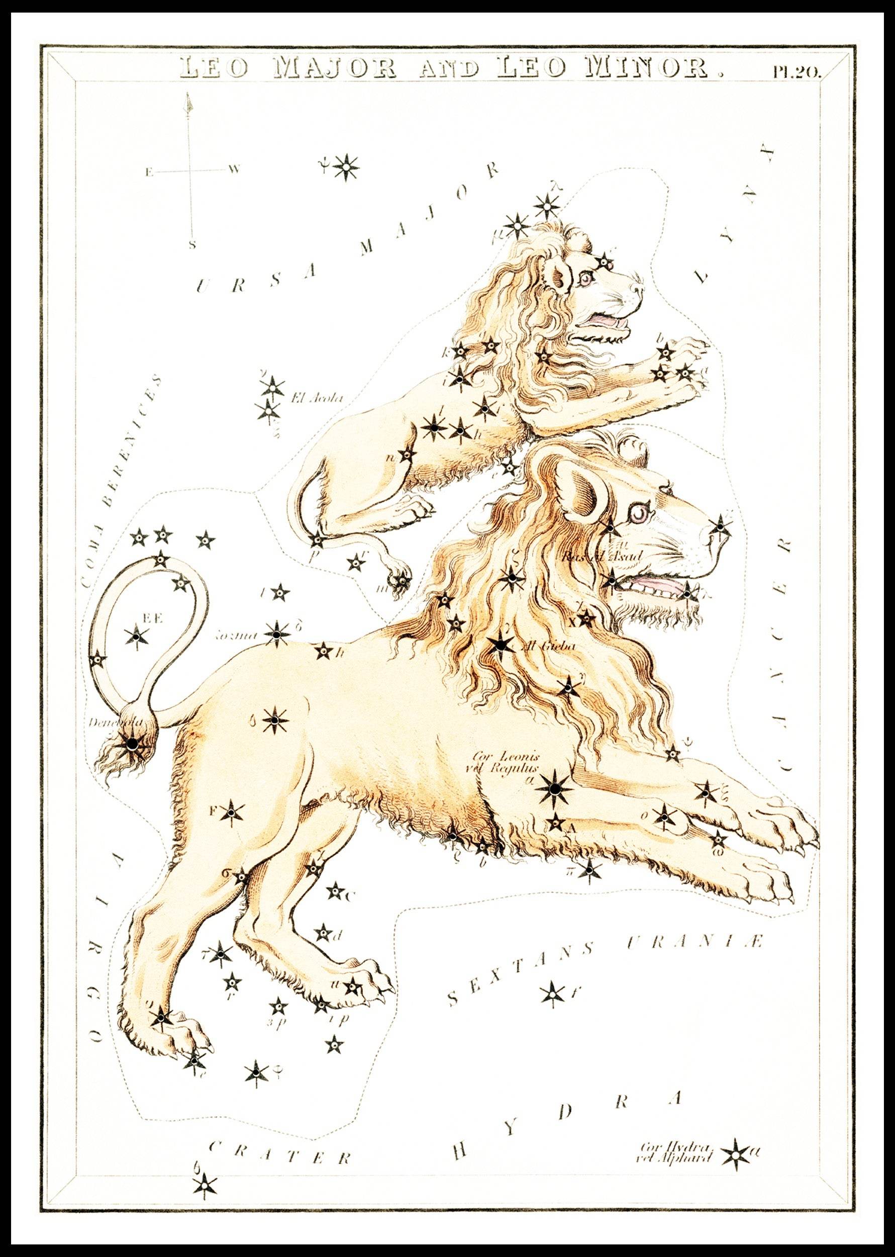 Leo Major and Leo Minor - Hakyarts