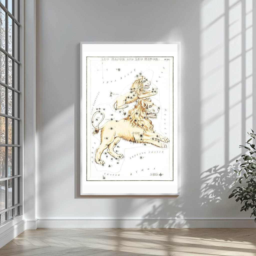 Leo Major and Leo Minor - Hakyarts