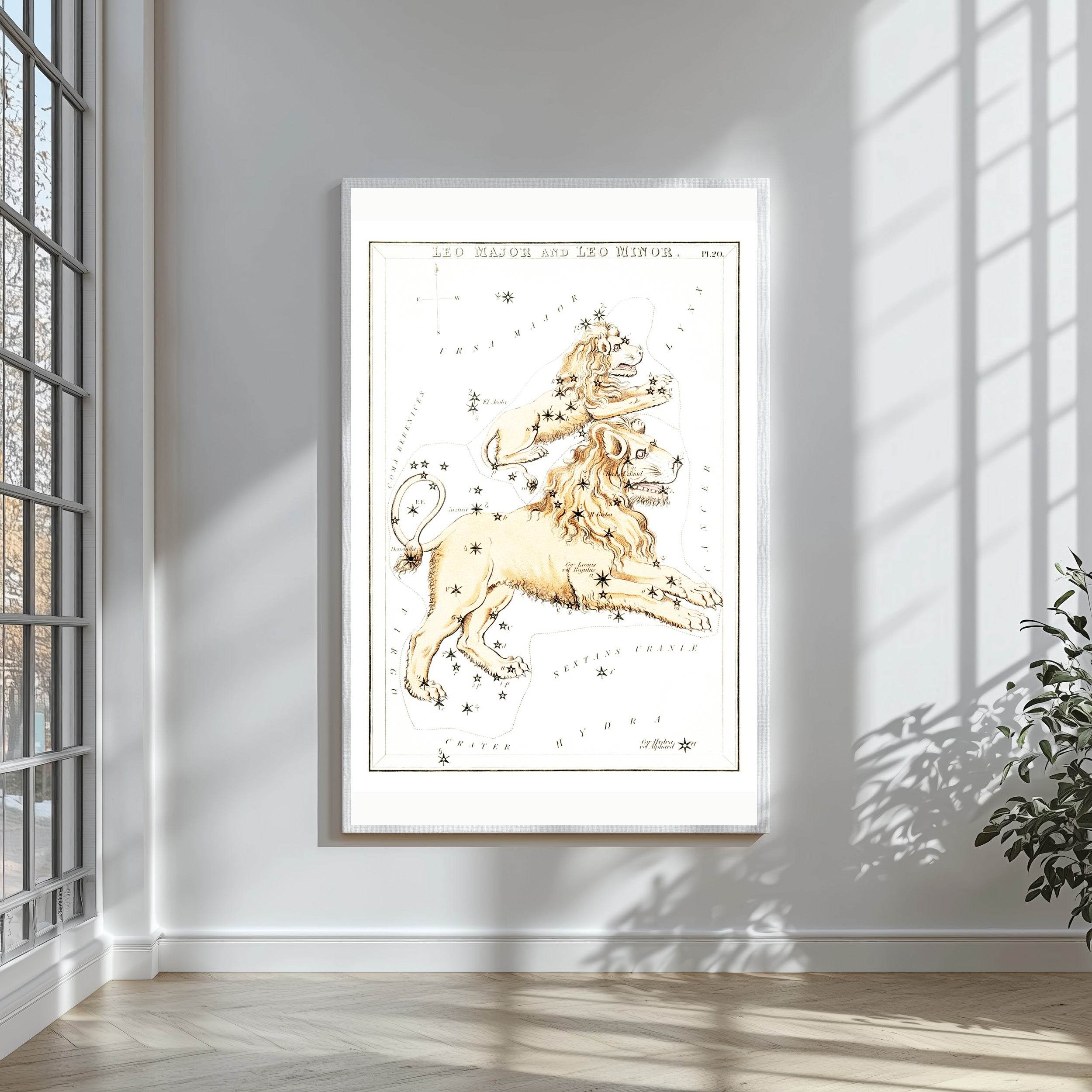 Leo Major and Leo Minor - Hakyarts