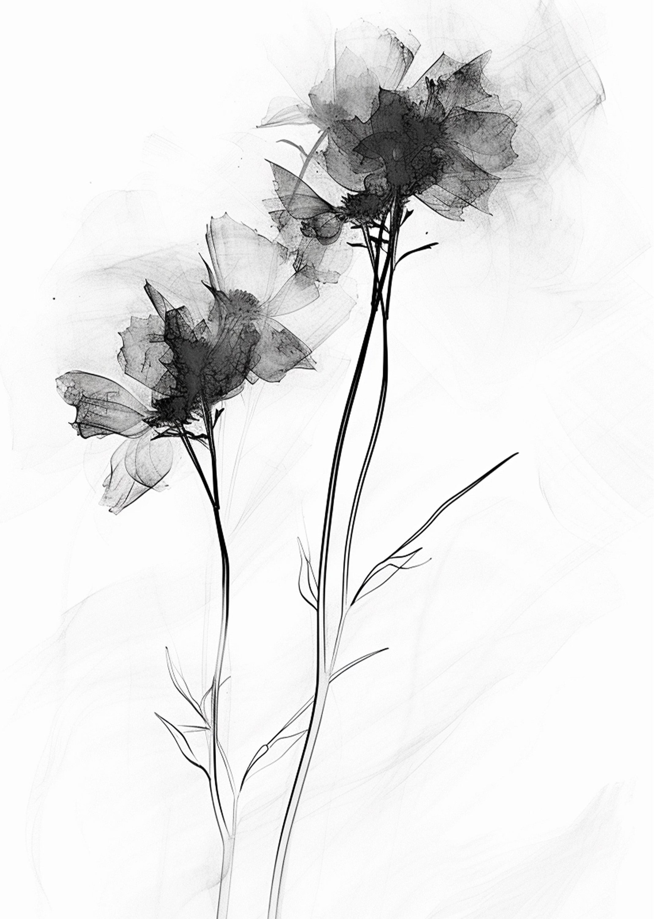 Monochrome Bloom Minimal Floral Sketch Art