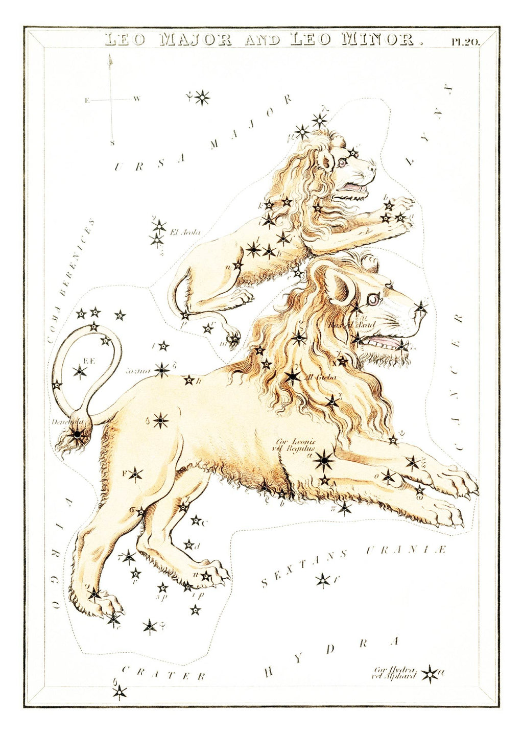 Leo Major and Leo Minor - Hakyarts