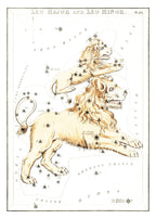 Leo Major and Leo Minor - Hakyarts