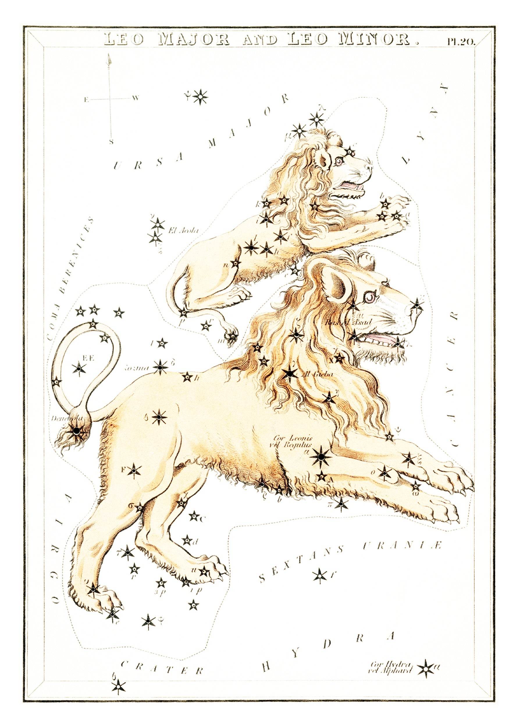 Leo Major and Leo Minor - Hakyarts