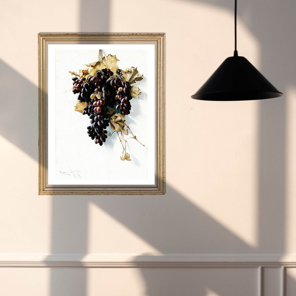 Still Life with Grapes - Hakyarts