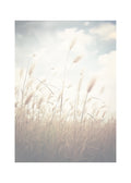 Morning Light – Serene Abstract Landscape in Pastel Wall Art Print