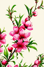 Megata Morikaga – Peach Tree Branches with Leaves and Blossoms | Art Print