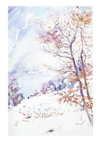 Walchensee in Winter - Hakyarts