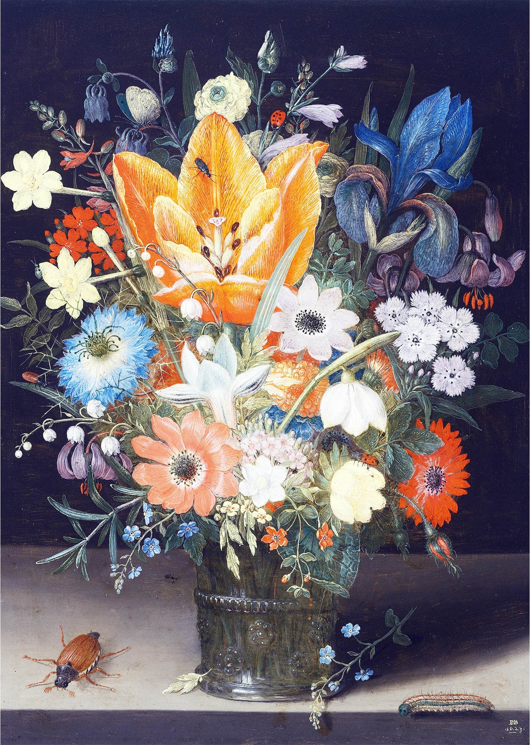 Still Life with Iris - Hakyarts