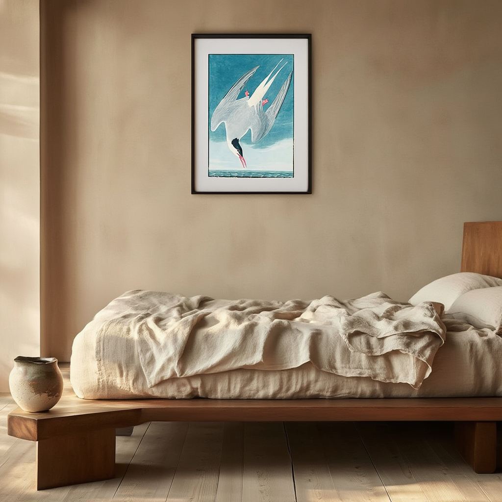 John James Audubon - Artic Tern