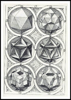 Perspective of the Regular Bodies V - Hakyarts