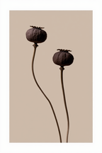 The Garden Series – 7 Botanical Wall Art Prints - Hakyarts