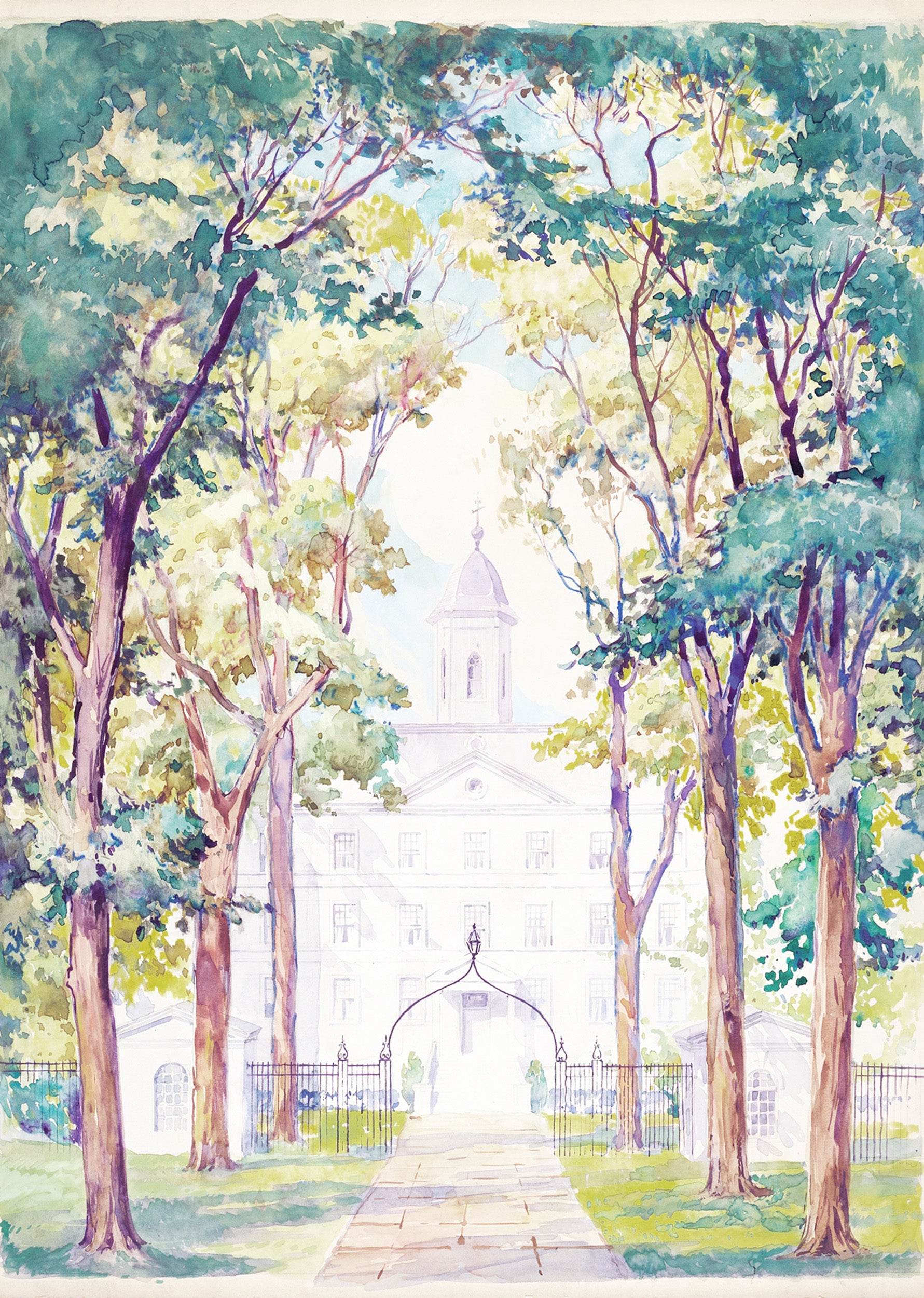 New York City Hospital - Hakyarts