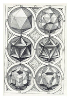 Perspective of the Regular Bodies V - Hakyarts