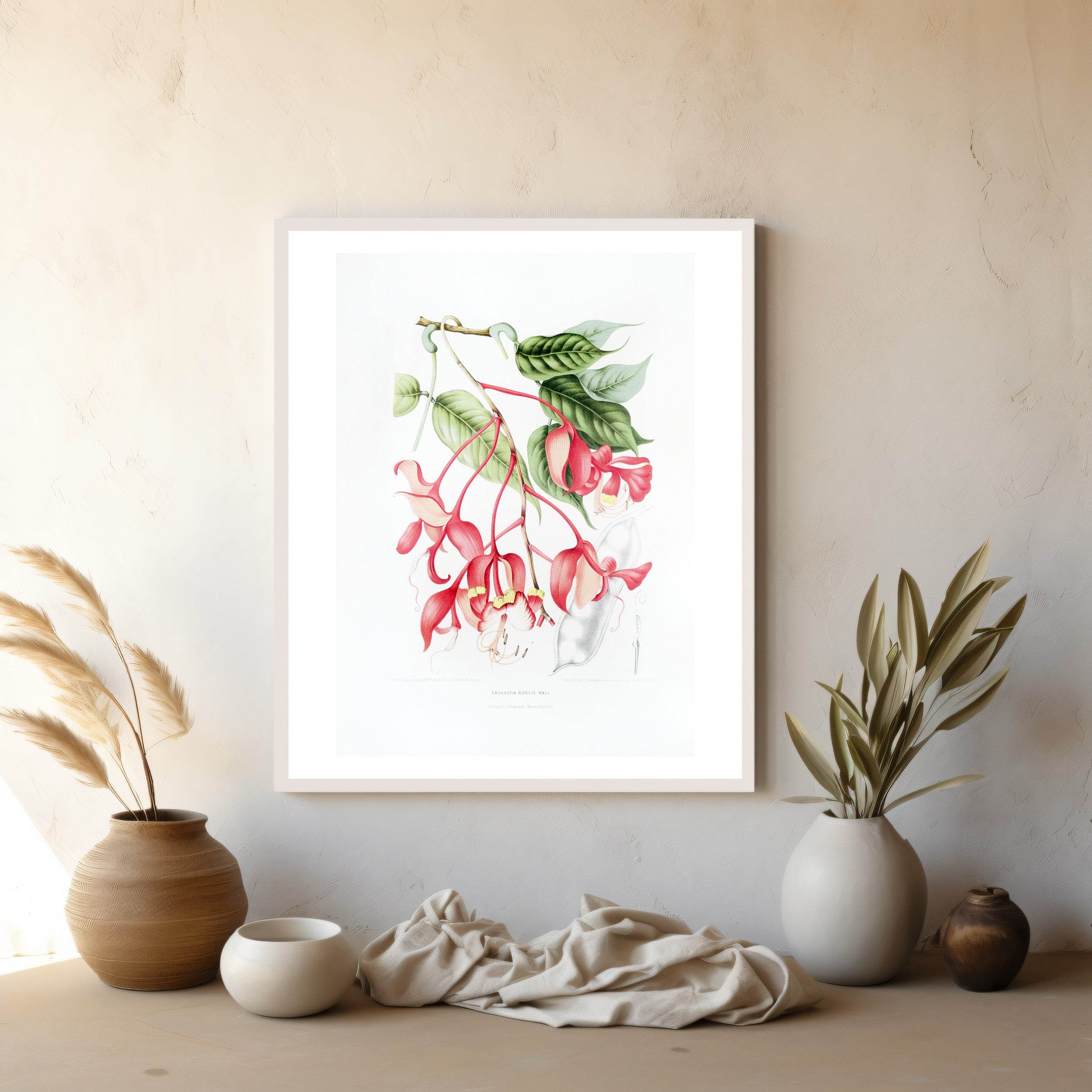 Fleurs, fruits et feuillages choisis de l’ille de Java Pl.02 - Hakyarts