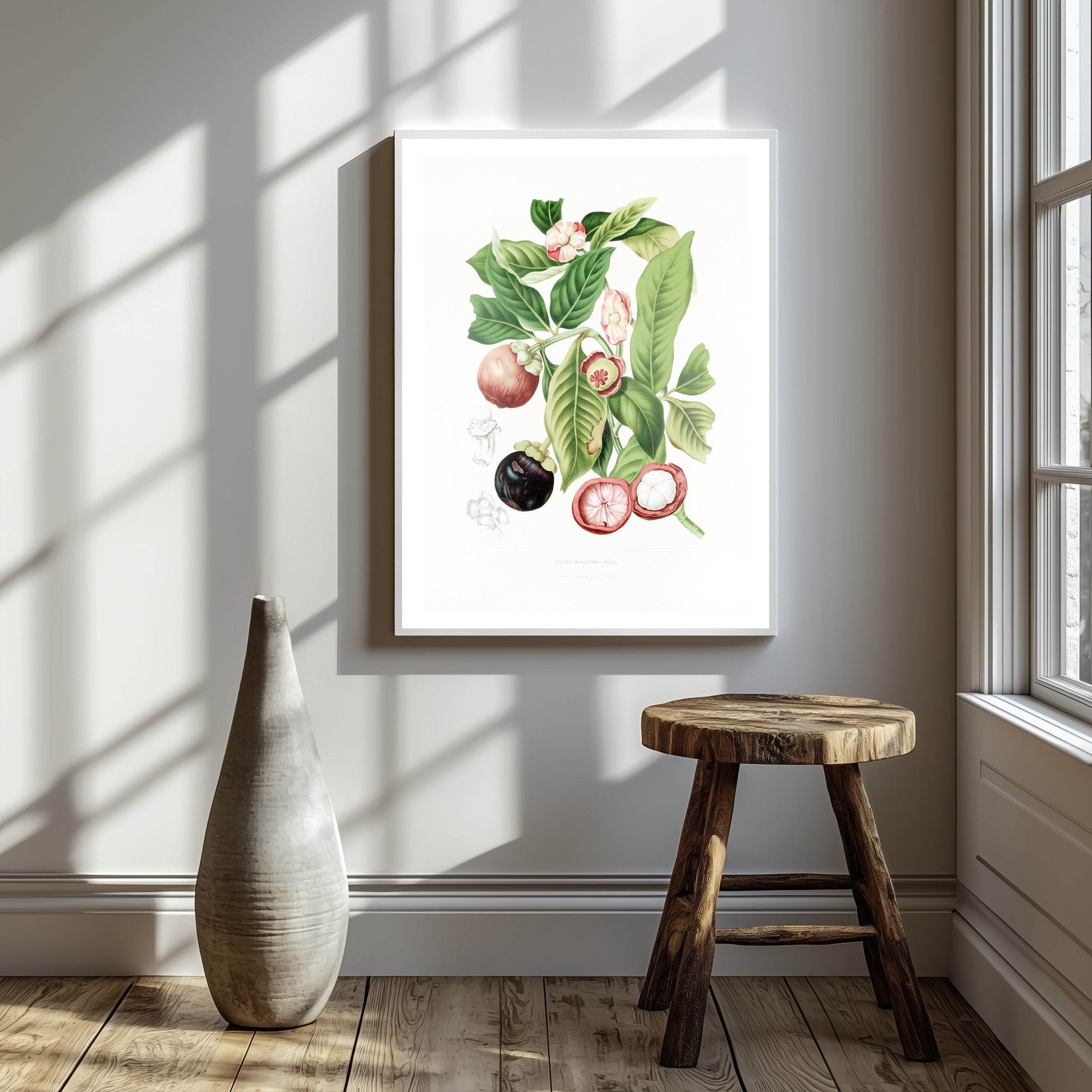 Fleurs, fruits et feuillages choisis de l’ille de Java Pl.16 - Hakyarts