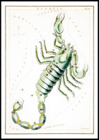 Scorpio - Hakyarts