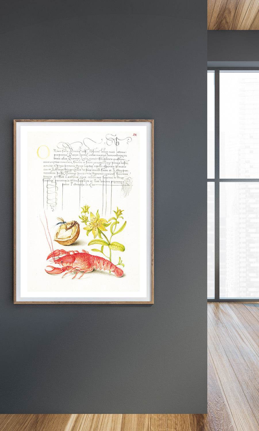 Insect, English Walnut, Saint John’s Wort, and Crayfish - Hakyarts