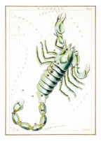 Scorpio - Hakyarts