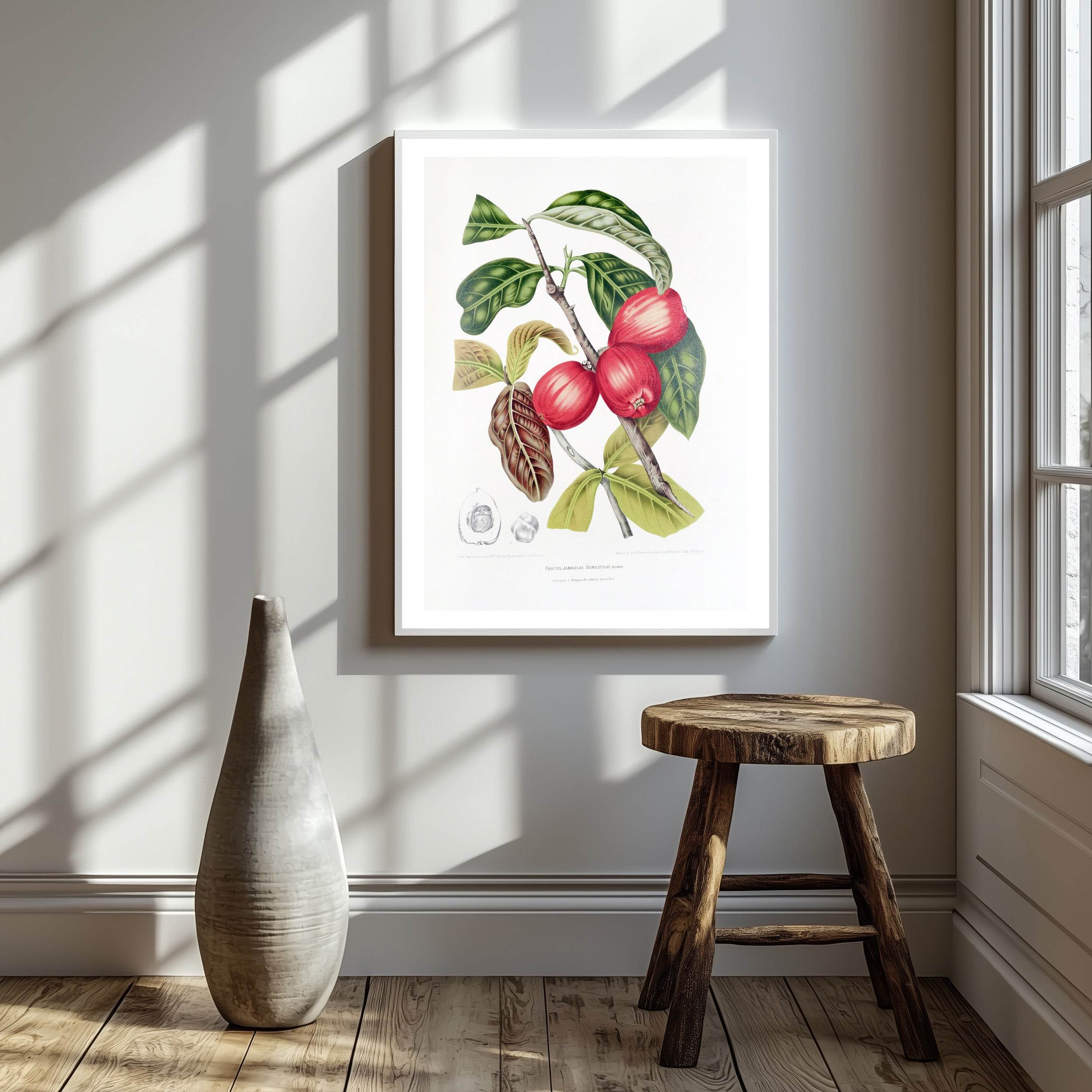 Fleurs, fruits et feuillages choisis de l’ille de Java Pl.30 - Hakyarts