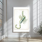 Scorpio - Hakyarts