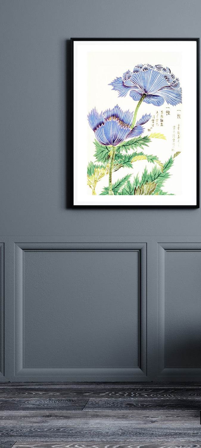 Tsunemasa Papaver Somniferum Var Paeoniflorum Plate - Hakyarts