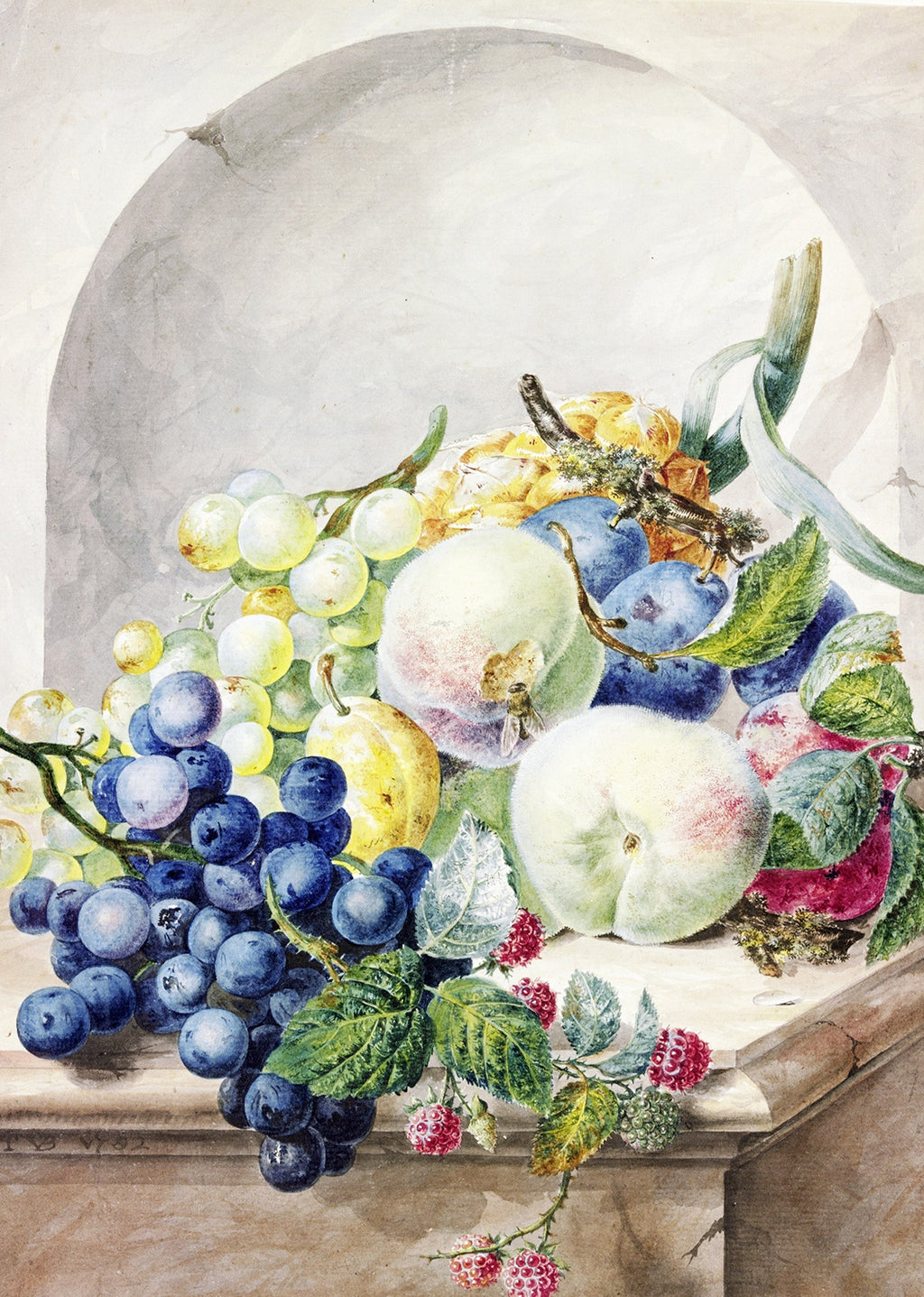 Piece of fruit in a niche on a marble table, plums, peaches, grapes and blackberries