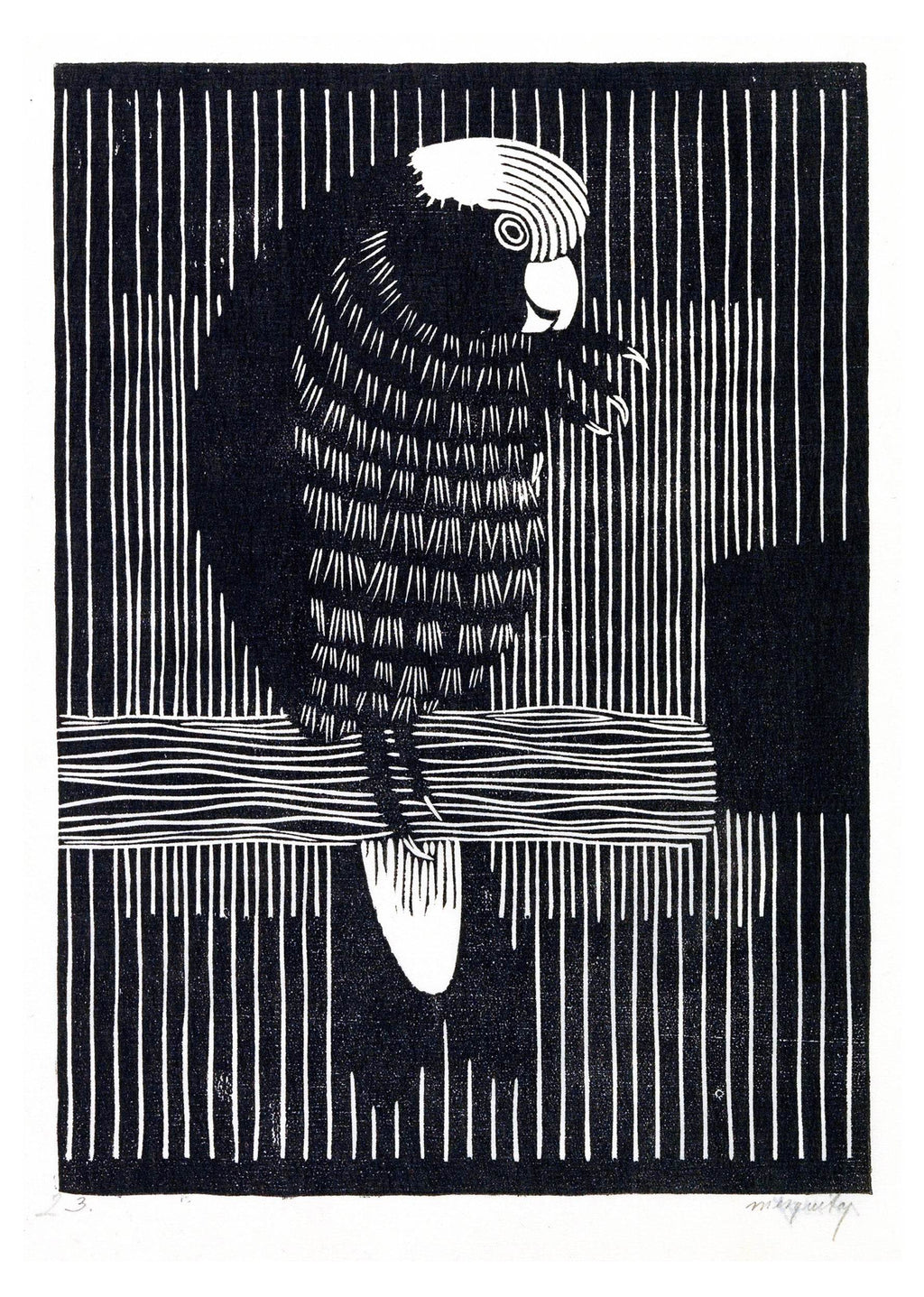 Rosékaketoe Poster - Hakyarts