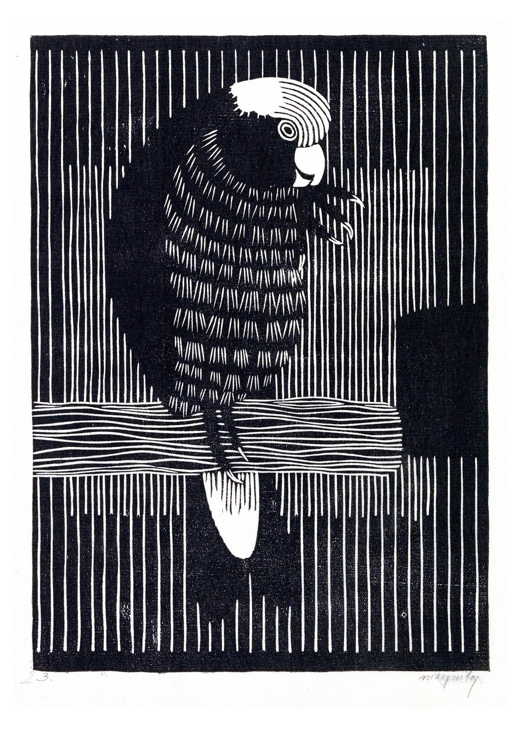 Rosékaketoe Poster - Hakyarts