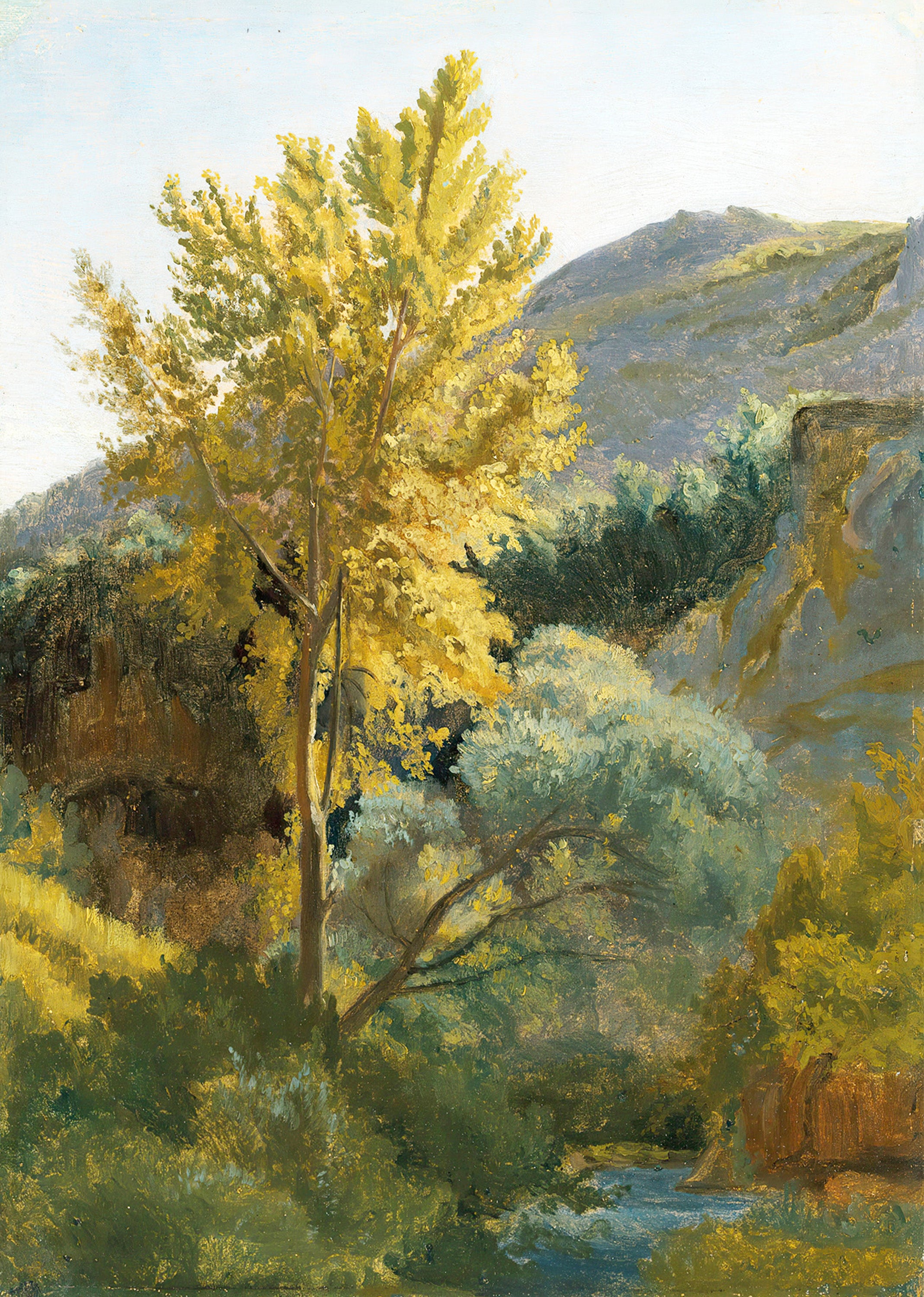 Jean‑Baptiste‑Camille Corot – Study of a Tree Near a Torrent in Italy