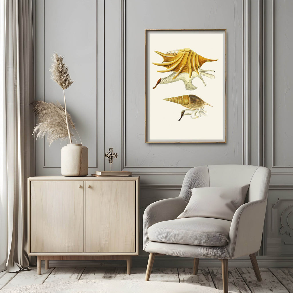 The Winged Snails - Hakyarts