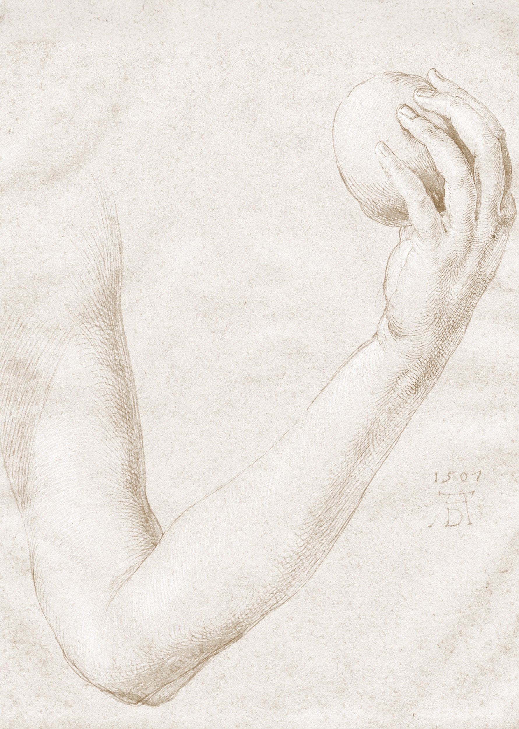 Set of 2 Arm of Eve by Albrecht Dürer & Leonardo da Vinci Vitruvian Man – Renaissance Anatomical Art Prints