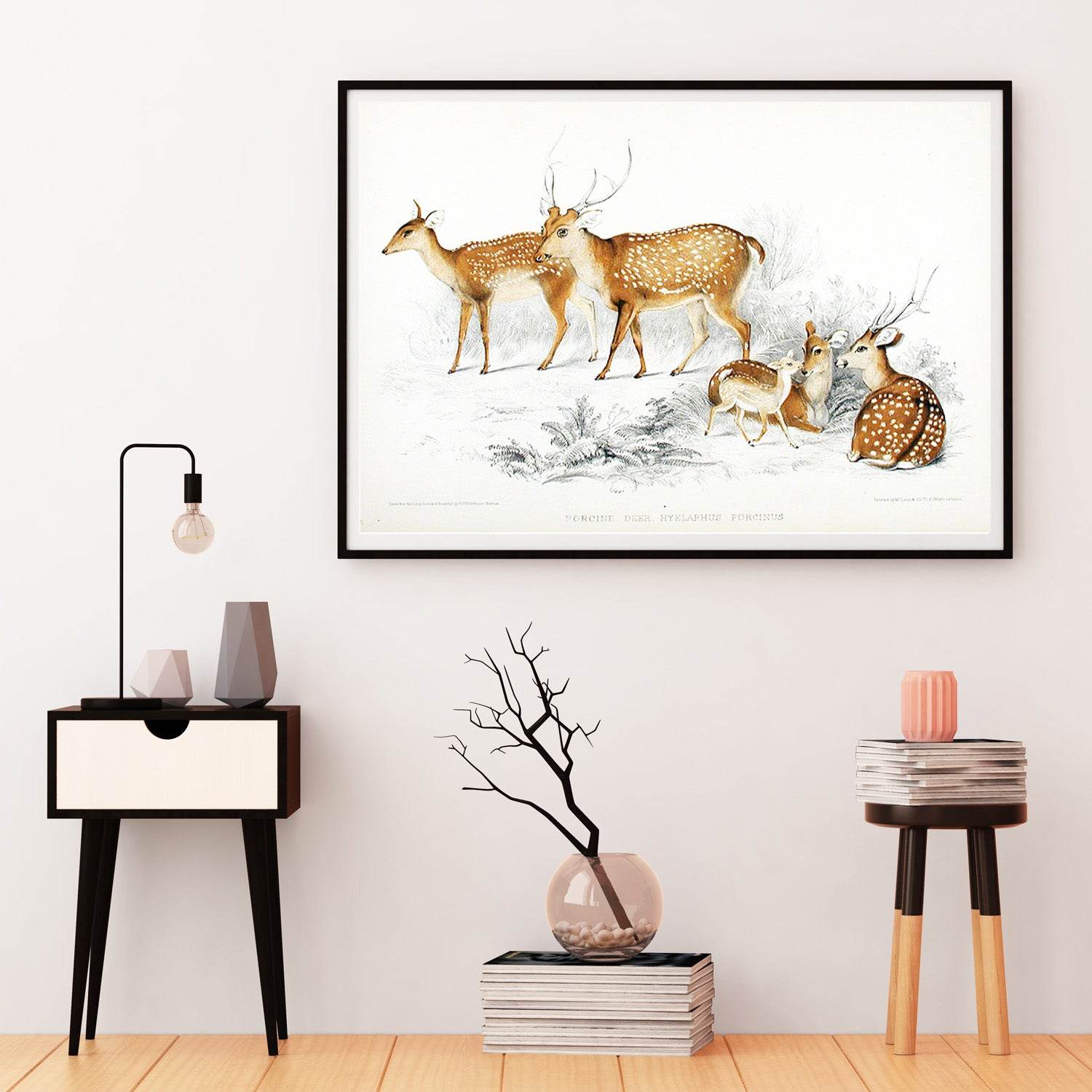 Porcine Deer from Knowsley Park - Hakyarts