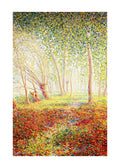 Les Vieux Saules à Moret - Hakyarts