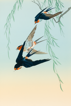 Three Birds in Full Flight – Ohara Koson Poster | Japanese Nature Art Print - Hakyarts