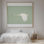 Silent Wings – Elegant Swan in Motion
