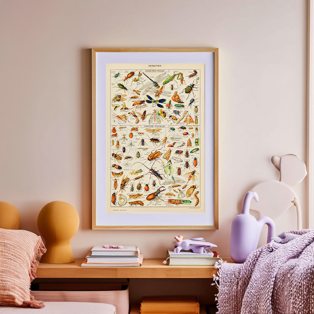 Adolphe Millot - Insectes III Poster