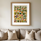 Fruits II Poster No. 2 – Adolphe Millot | Vintage Botanical Art Print - Hakyarts