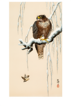 Goshawk on Snowy Branch – Ohara Koson Poster | Japanese Nature Art Print - Hakyarts