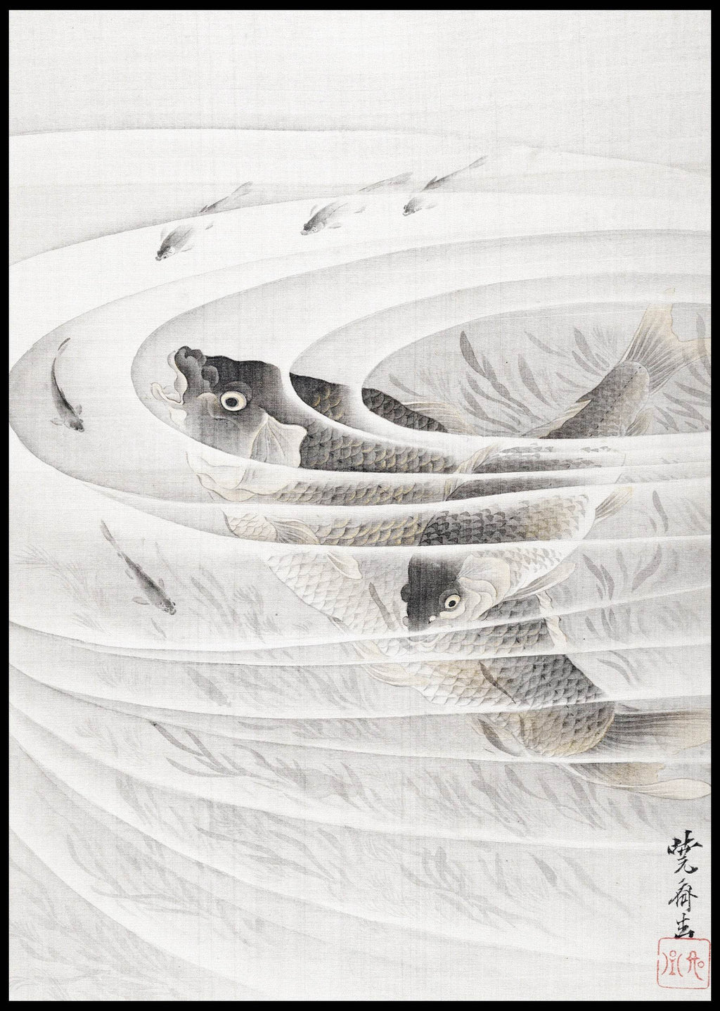 Fish in a Whirlpool - Hakyarts