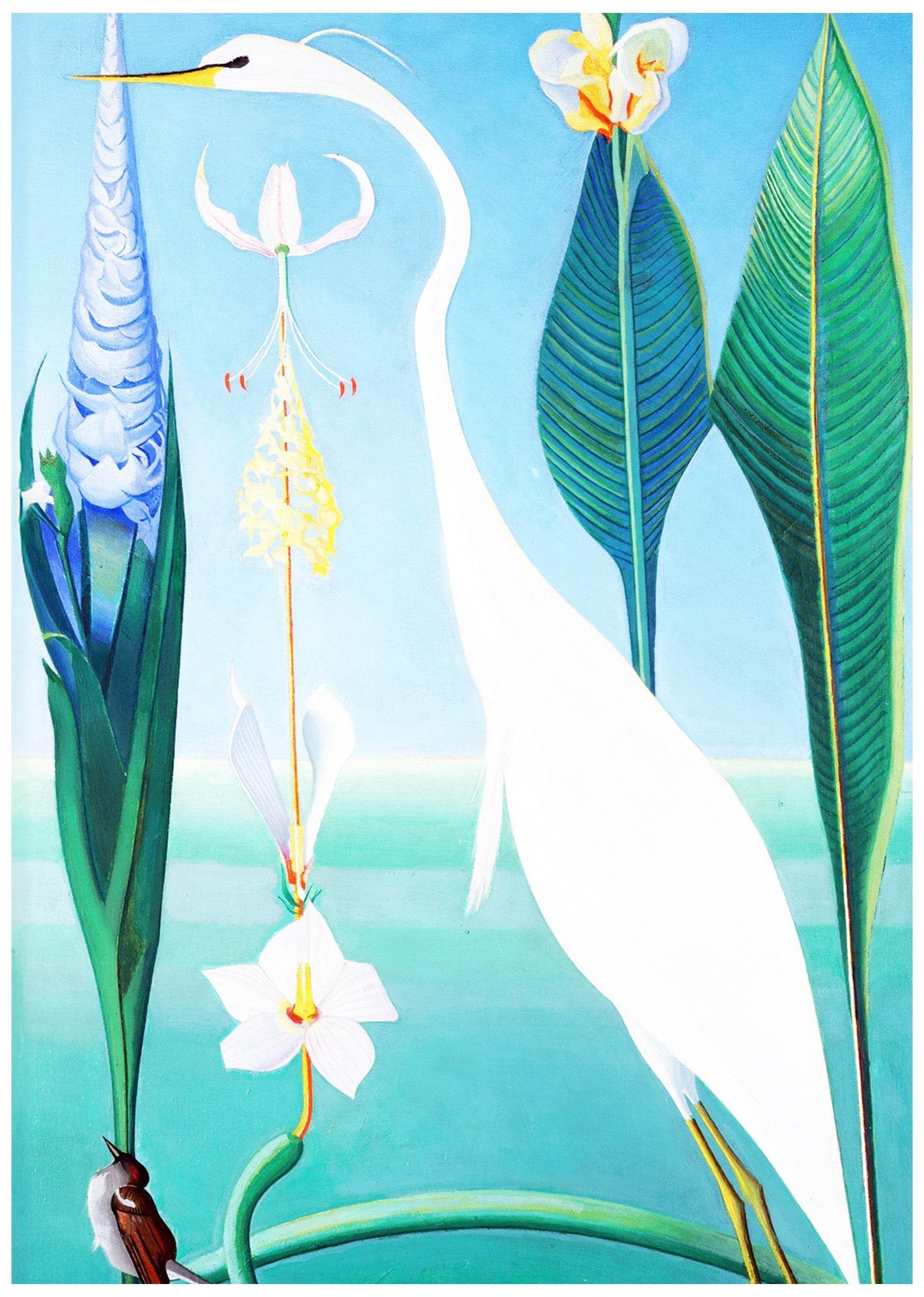 The White Heron - Hakyarts