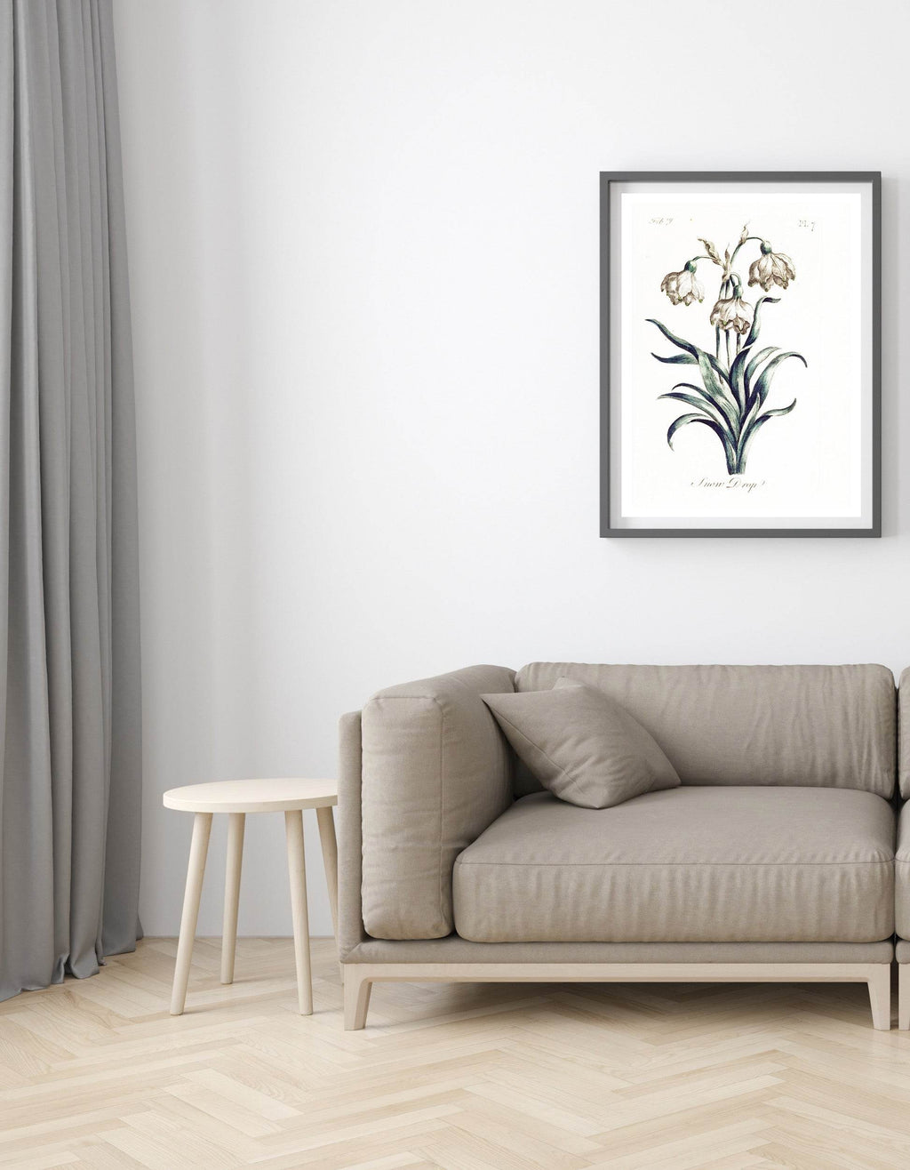 Snow Drop - Hakyarts