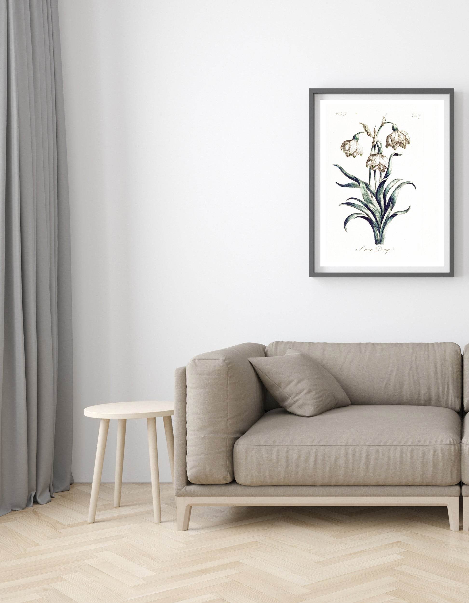 Snow Drop - Hakyarts