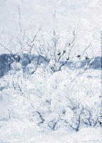Winter Evening - Hakyarts